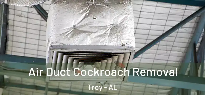  Air Duct Cockroach Removal Troy - AL