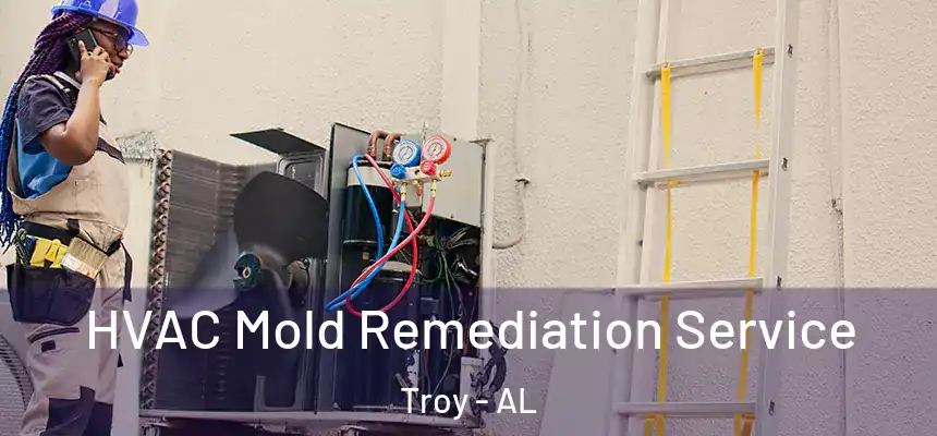  HVAC Mold Remediation Service Troy - AL