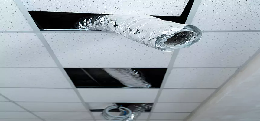 Our Air Duct Pet Hair Removal Services in Troy, AL