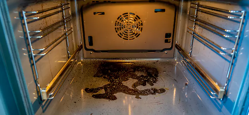 Our Dryer Vent Mold Cleaning Services in Troy, AL