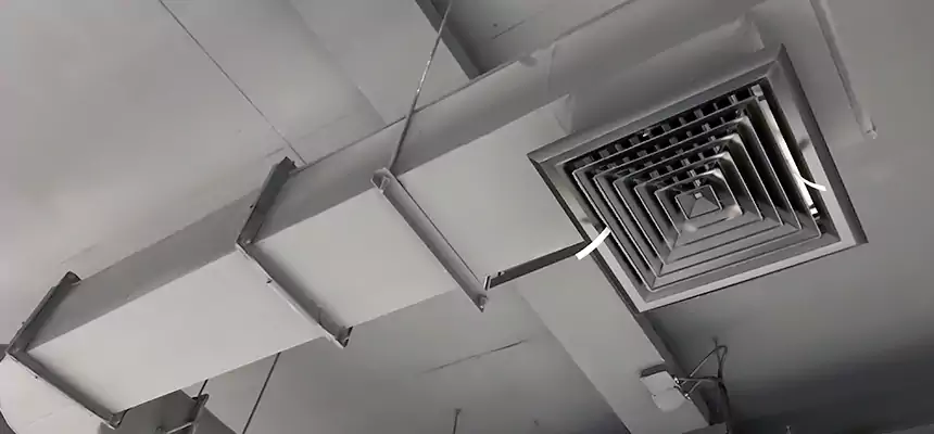 Our Pest Removal From Ducts Services in Troy, AL