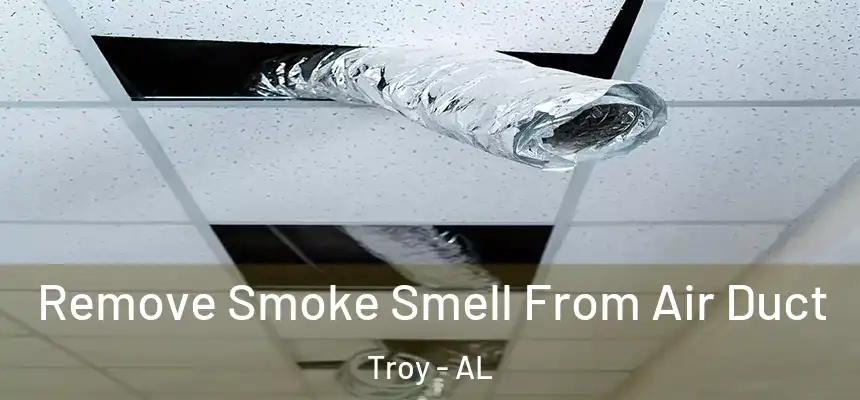  Remove Smoke Smell From Air Duct Troy - AL