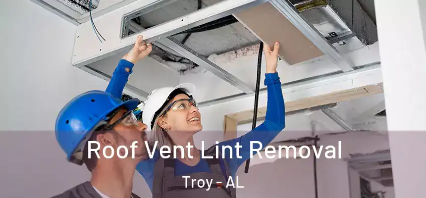  Roof Vent Lint Removal Troy - AL