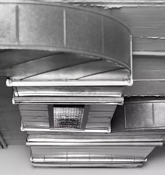 Professional Air Duct Pest Removal in Troy, AL