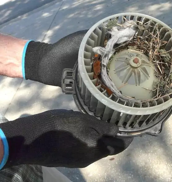 About Air Duct Rat Removal in Troy, AL