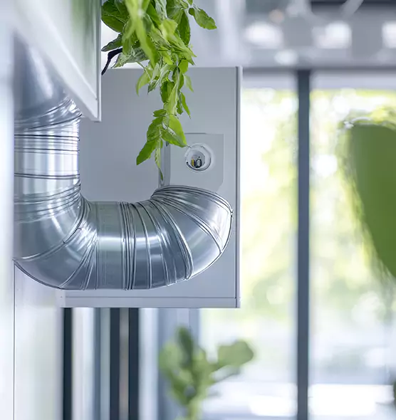 Professional Eco-Safe Dryer Vent Cleaning in Troy, AL