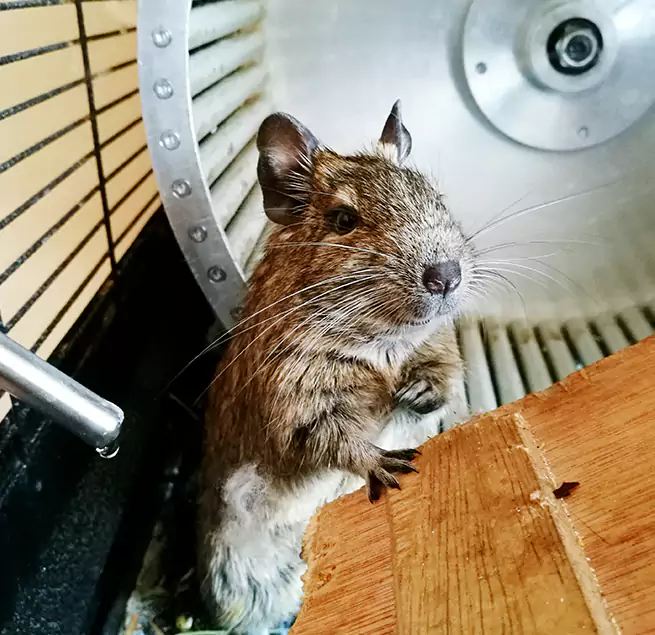 Why Homeowners & Businesses Trust Us Troy, AL