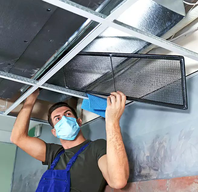 Why Homeowners Businesses Trust Us in Troy, AL