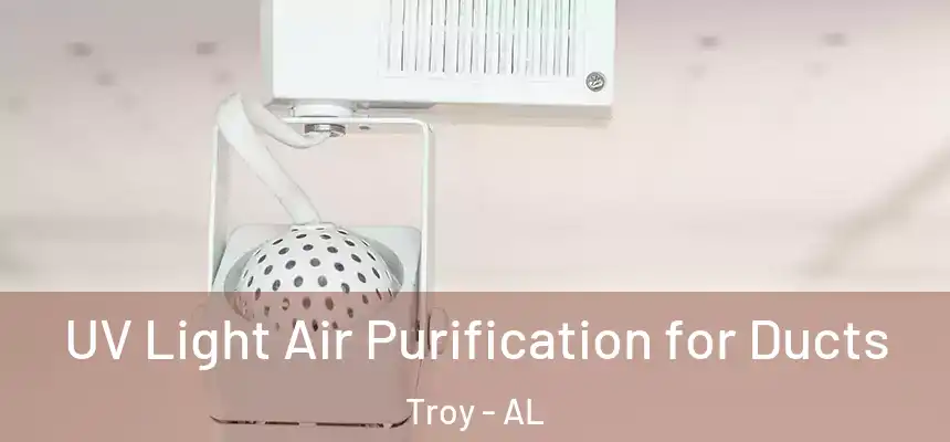  UV Light Air Purification for Ducts Troy - AL